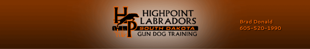 Highpoint Labradors